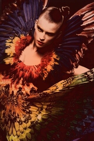 Костюм жар птицы обои
