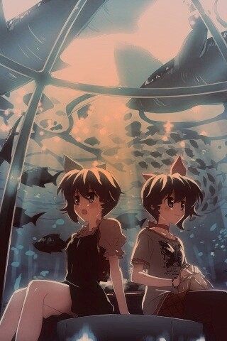 В океанариуме обои