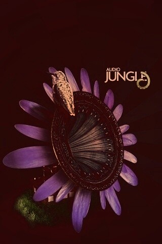 Звуки джунглей обои