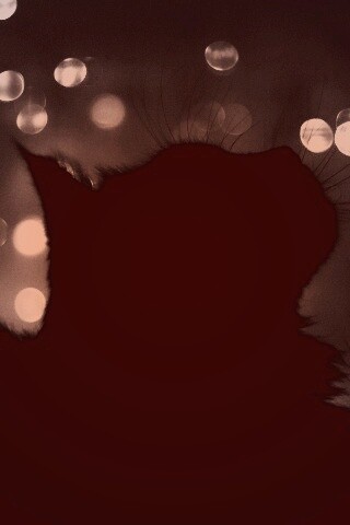 Силуэт черного кота обои