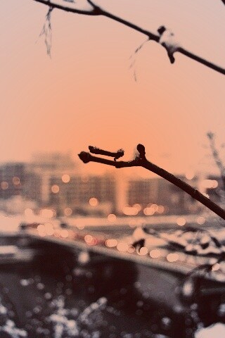 Зима в городе обои