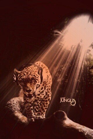 Ягуар в наушниках обои