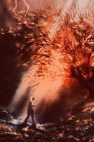 Горящее дерево обои