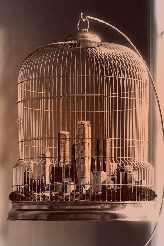 Город в клетке обои