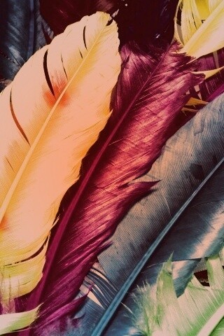 Разноцветные перья обои