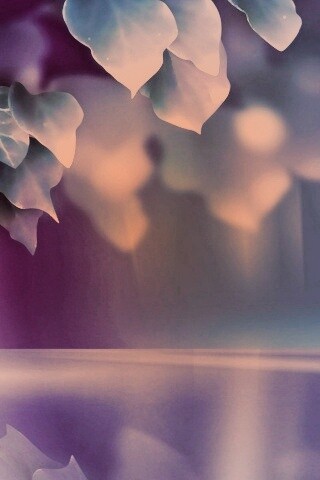 Синие листья обои