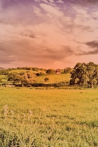 Домик на холмах обои