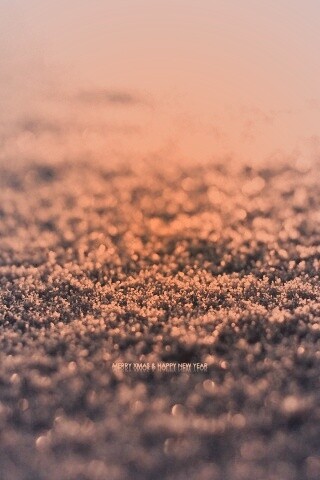 Снежный покров обои