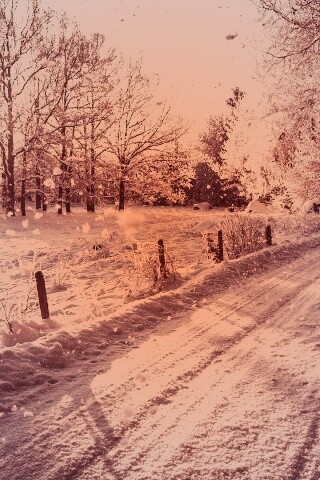 Снежная дорога залитая солнцем обои