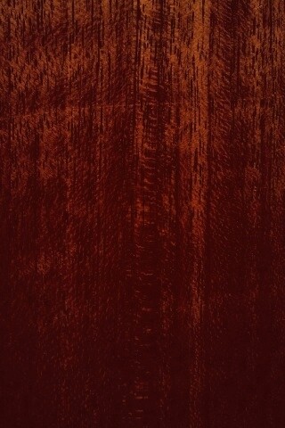 Темно-оранжевое дерево обои