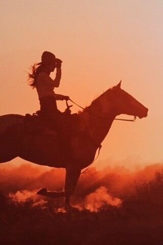 Наездница на закате обои