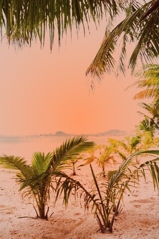 Настоящее лето обои