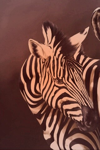 Нарисованные зебры обои