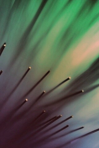 Световоды в рассеяном свете обои