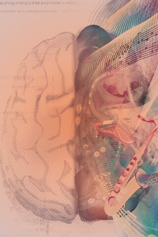 Левая и правая половина мозга обои