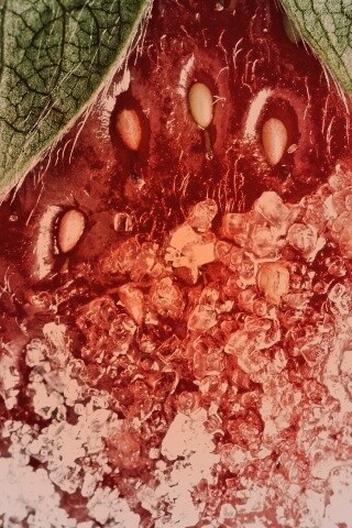 Клубника в сахаре обои