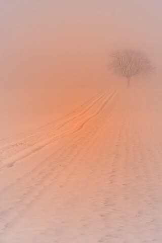 Заснеженное поле обои