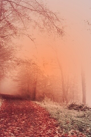 Осенний мистический пейзаж обои