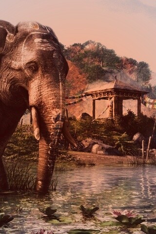 Слоники у воды обои