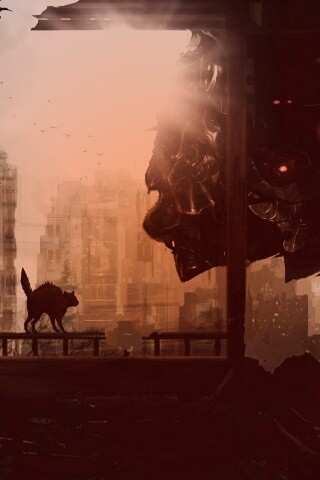 Кошкино удивление обои