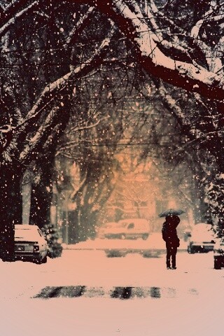 Зимняя улица обои