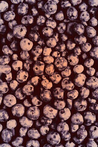 Черника обои