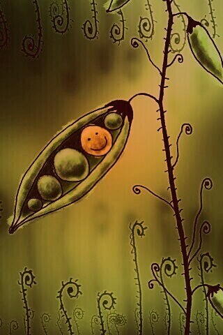 Мультяшная горошина обои