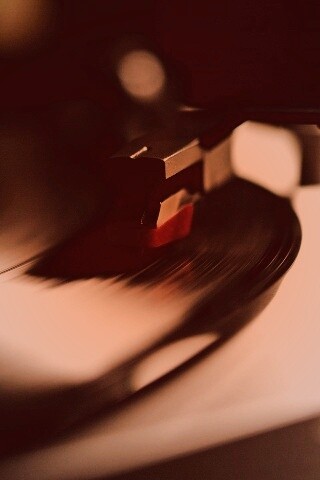 Пластинка обои