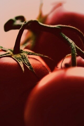 Аппетитные помидоры обои