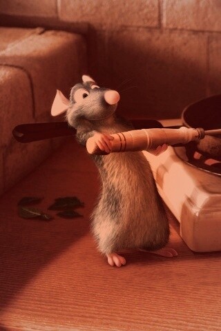 Рататуй у плиты обои