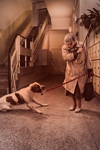 Непослушная собака обои