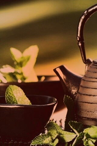 Чайная церемония обои