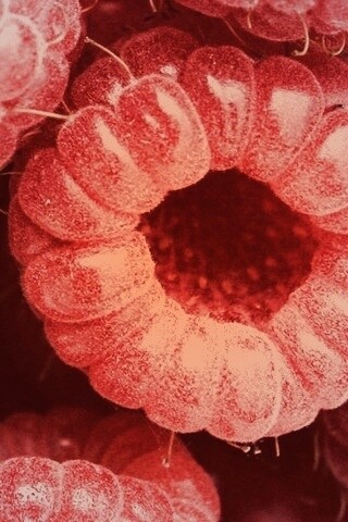 Малина обои