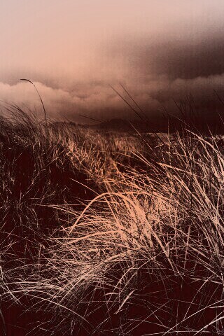 В ожидании шторма обои