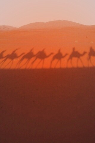 Караван обои