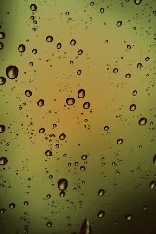 Обои капель дождя на стекле обои