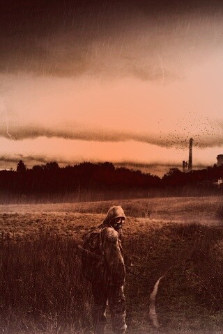 Сталкер под дождем обои