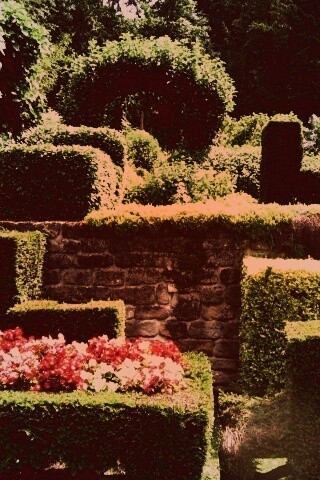 Декоративный сад обои