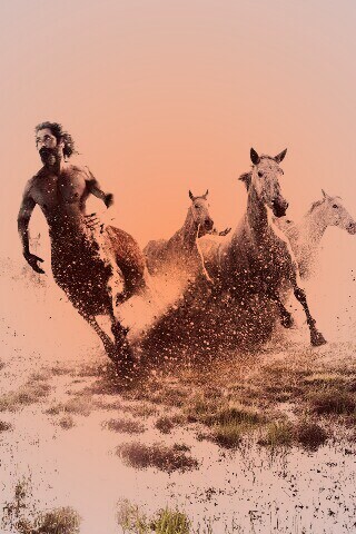 Кентавр обои