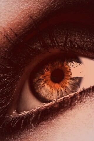 Оранжевый глаз обои