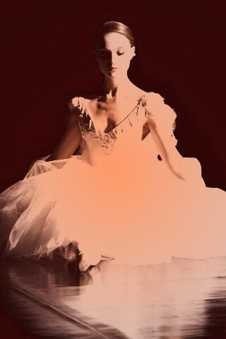 Черный лебедь обои