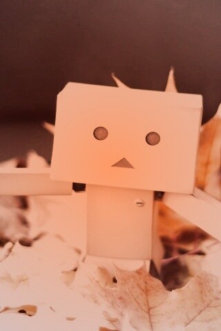  Yotsubato Danbo резвится листьях обои