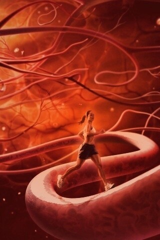 Бег крови обои