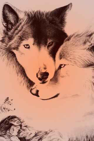 Волки обои