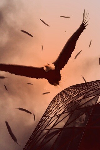 Орлиный полет обои