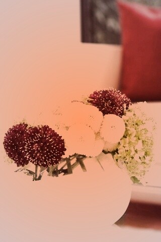 Цветы в белой вазе обои