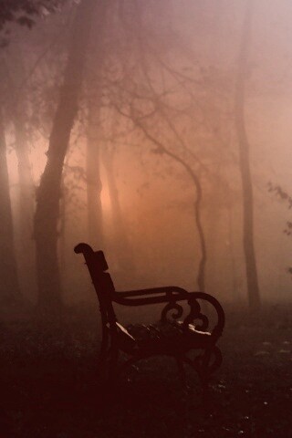 Темный лес обои