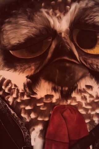 Совы-мариачи из Ранго обои