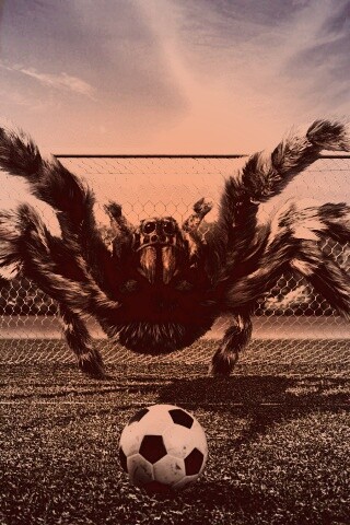 Вратарь обои