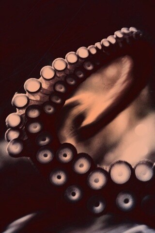 Щупальце обои